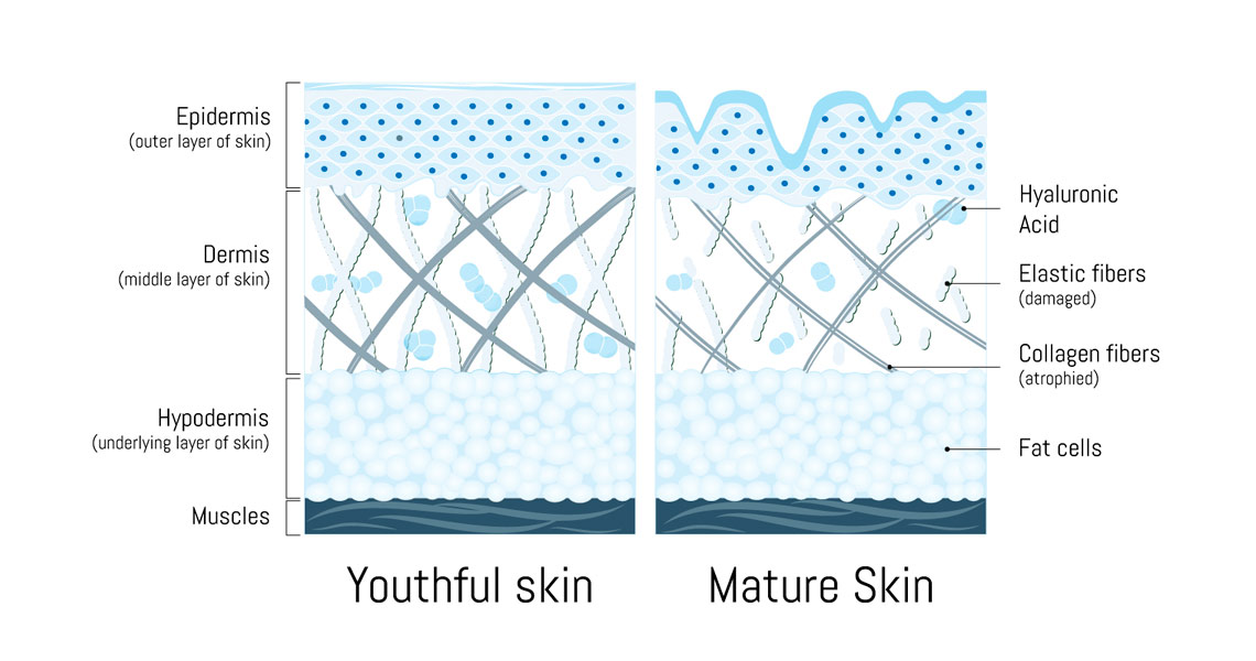 oslo-skin-lab-kolagenni- peptidy_2.jpg